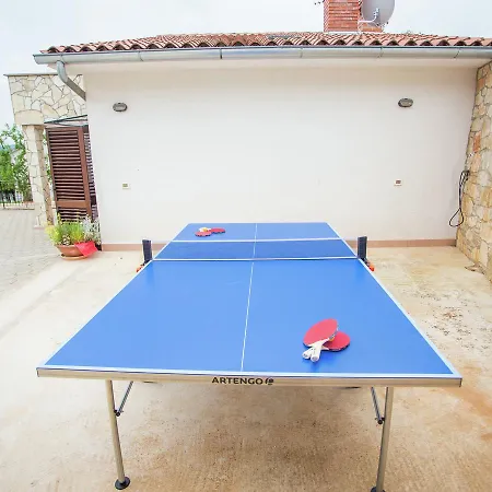 Villa Modern With Pool In Rakotule Croatia *